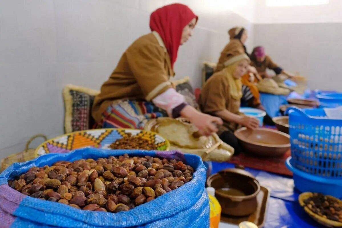 Argan Tree-Climbing Goats Tour photo 3