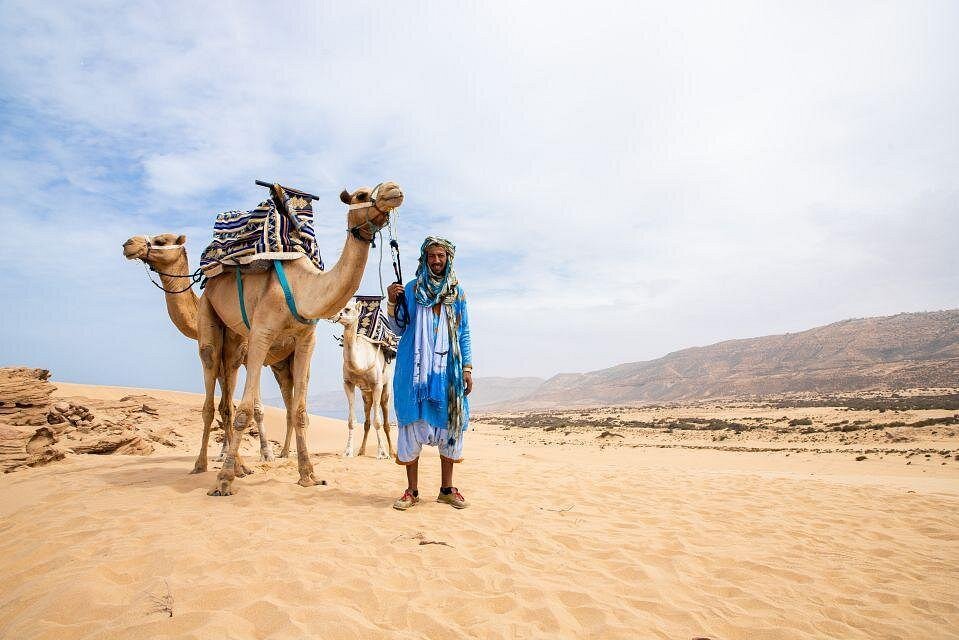 2 Hours Private Camel Ride in Agadir photo 2