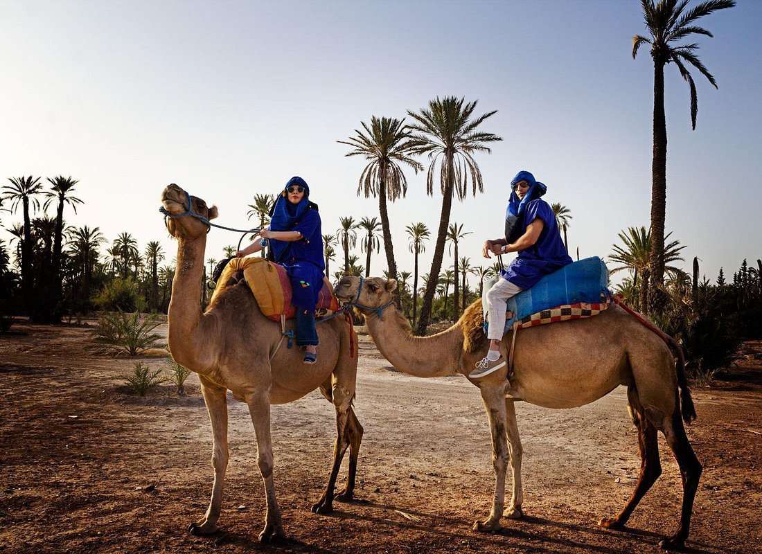 2 Hours Private Camel Ride in Agadir photo 3