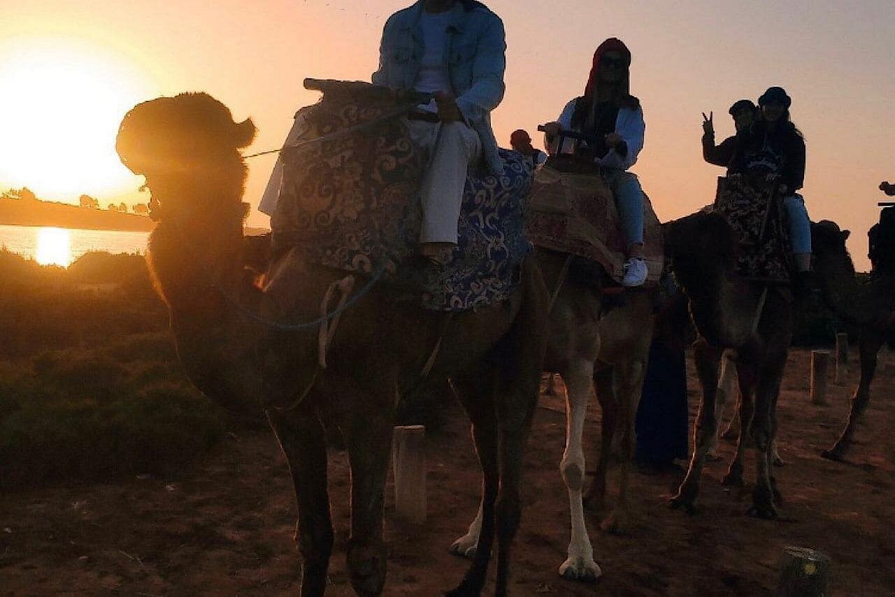2 Hours Private Camel Ride in Agadir photo 4