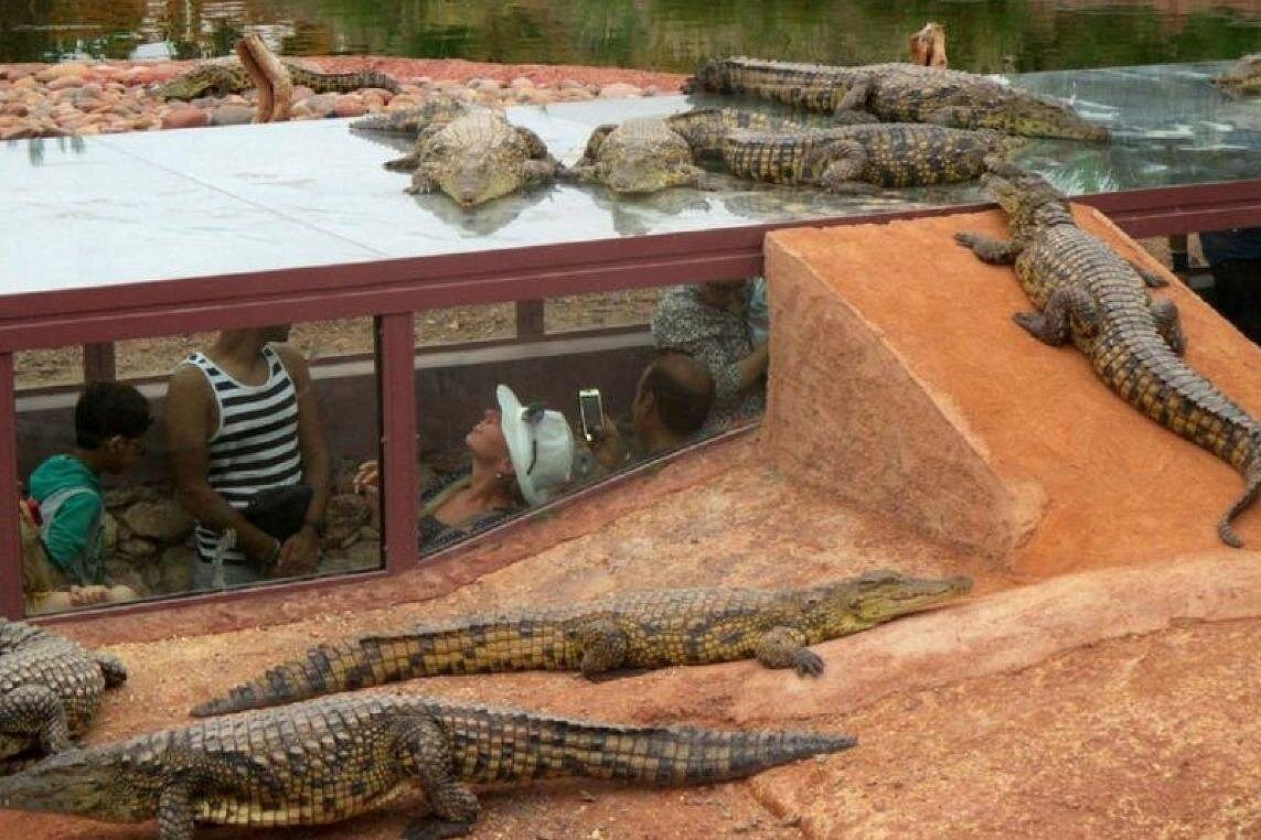 Crocoparc Agadir Visit photo 4