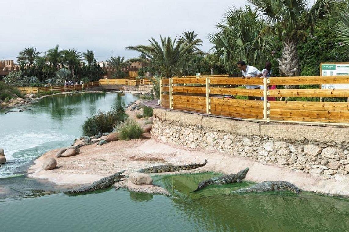 Crocoparc Agadir Visit photo 6