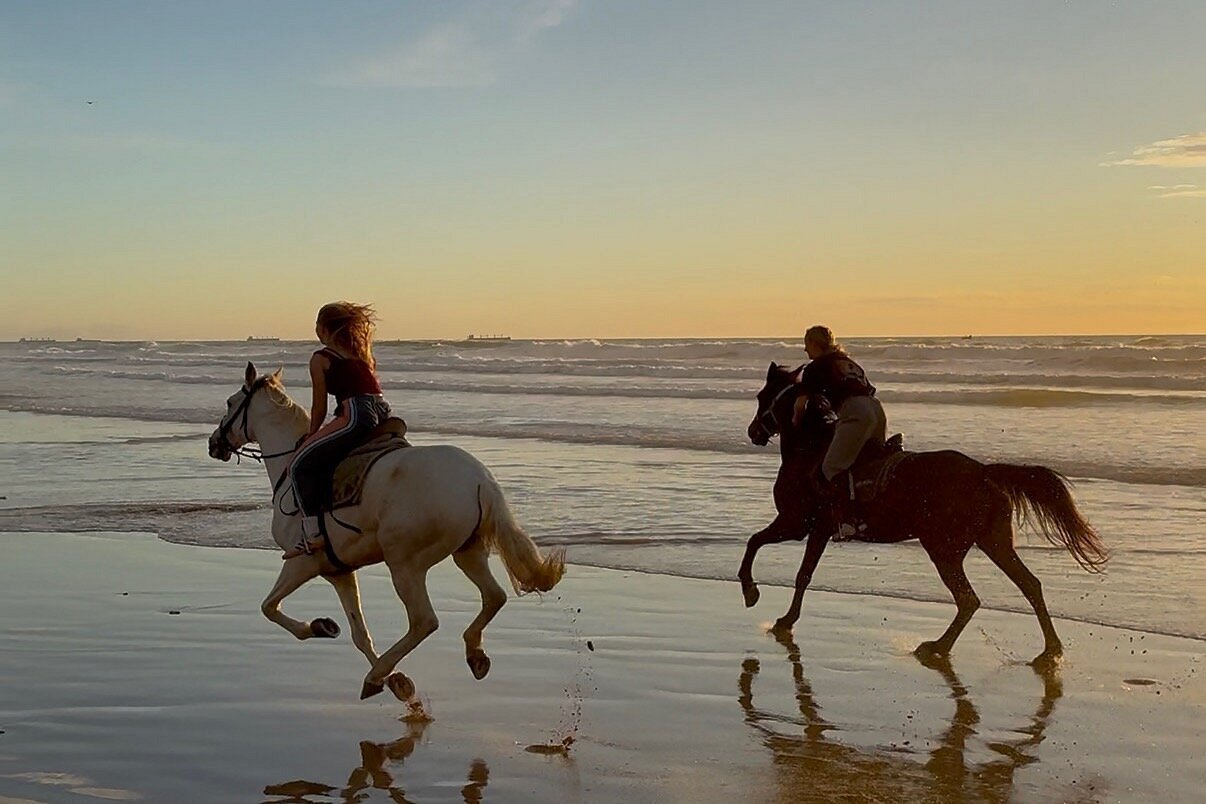 Horse Riding Experience on the Beach photo 3